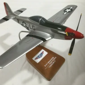 P-51 Mustang, "Top Gun II" - Image 1